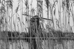 Windmill and Grass BW, Ober Amstel