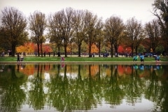 The Reflecting Pool, Washington D.C.